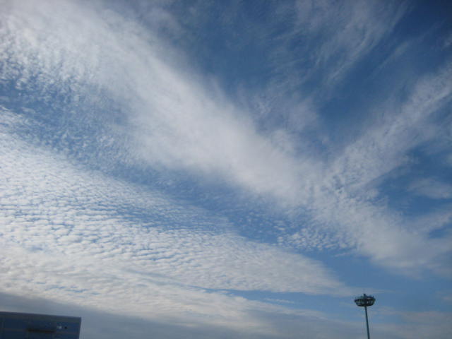 イメージ 15