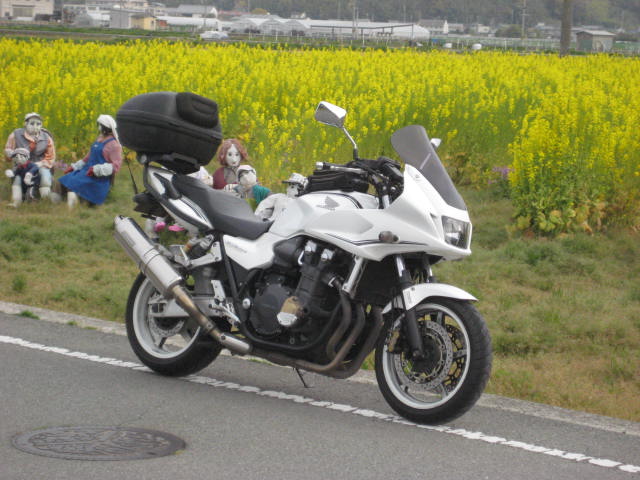 イメージ 22