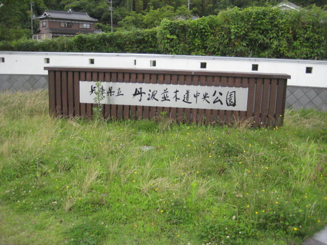 イメージ 8