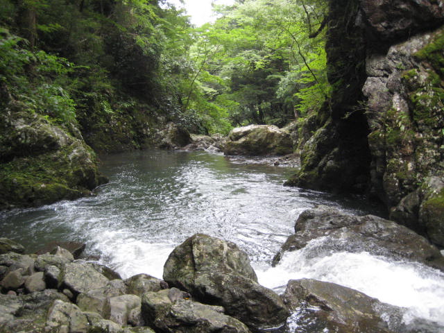 イメージ 18