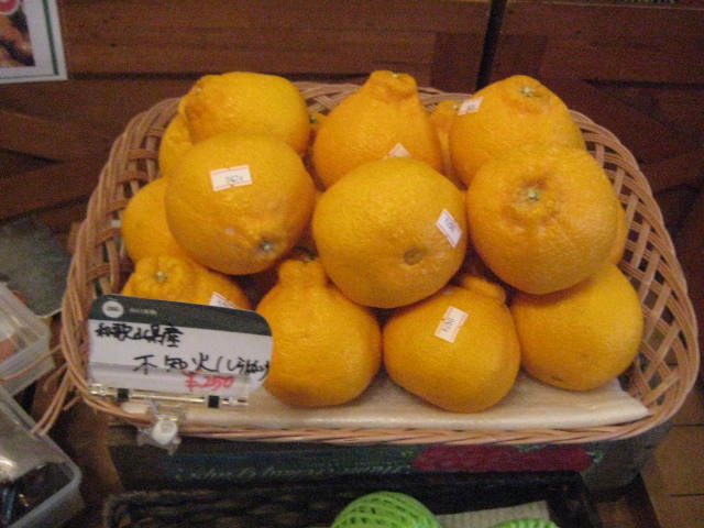 イメージ 7