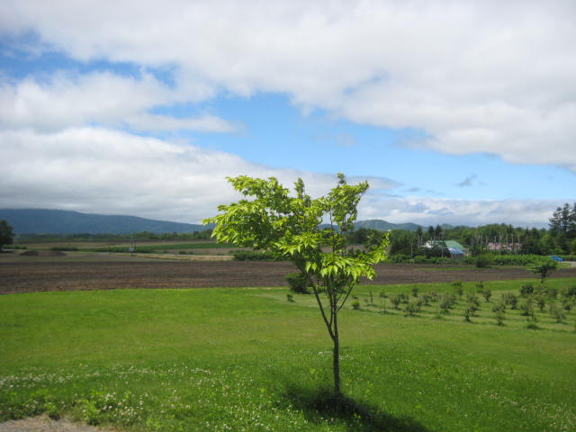 イメージ 18