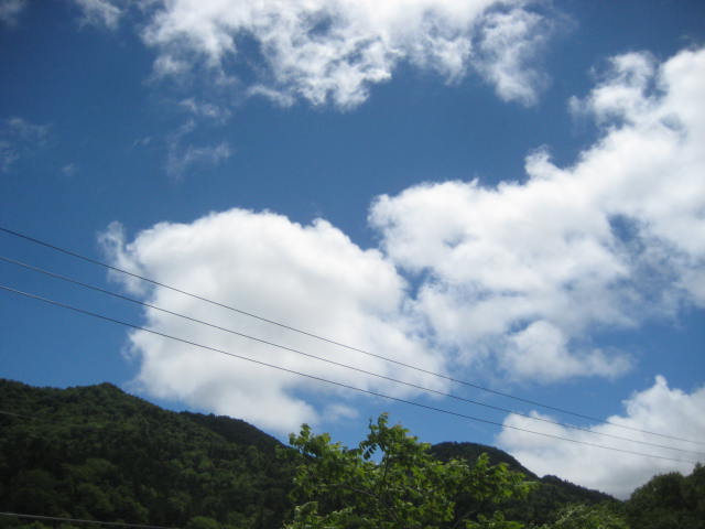 イメージ 4