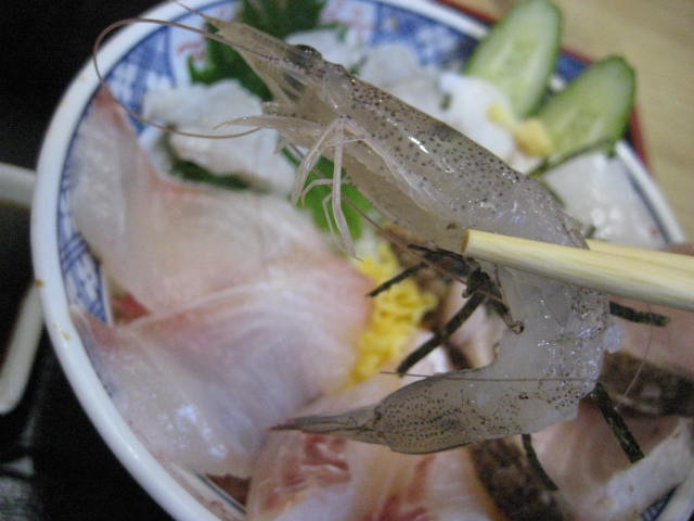 イメージ 3