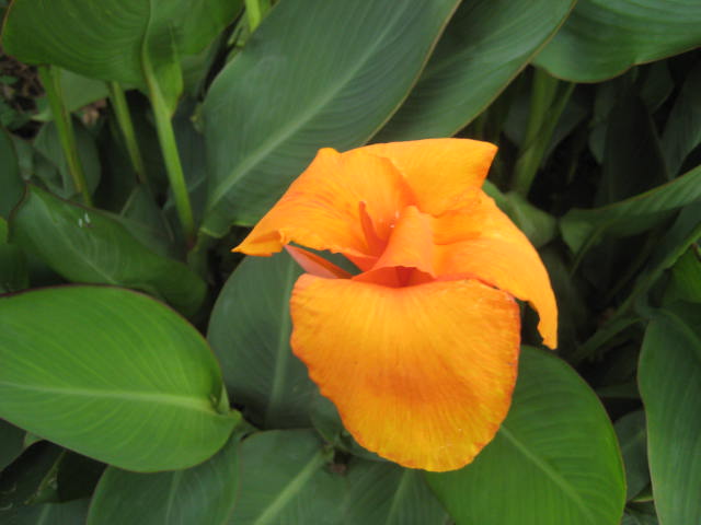 f:id:simba07ljx:20190903220850j:plain f:id:simba07ljx:20190903220850j:plain