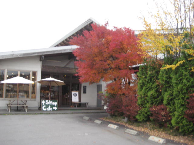 f:id:simba07ljx:20191117165321j:plain