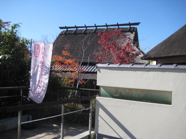 f:id:simba07ljx:20191127194129j:plain