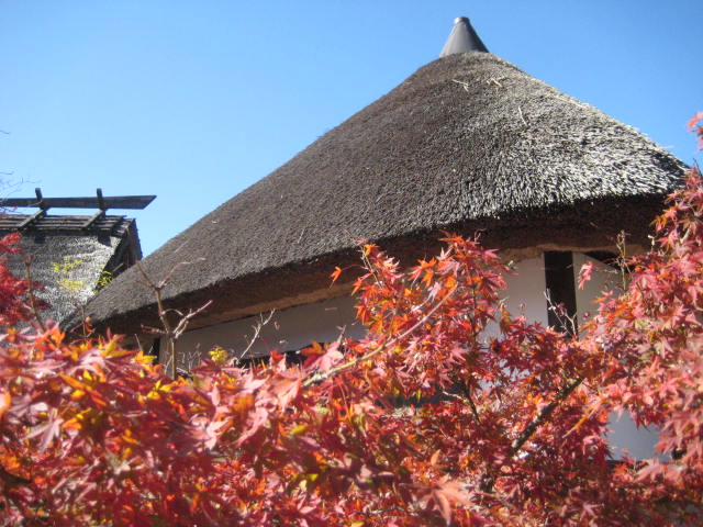 f:id:simba07ljx:20191127194201j:plain