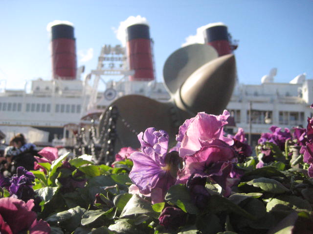 f:id:simba07ljx:20200225212756j:plain