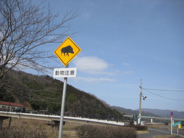 f:id:simba07ljx:20200301135232j:plain f:id:simba07ljx:20200301135232j:plain