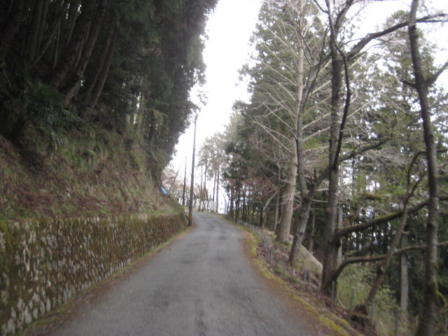 f:id:simba07ljx:20200416224409j:plain