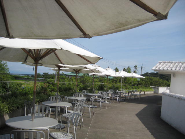 f:id:simba07ljx:20200430194216j:plain