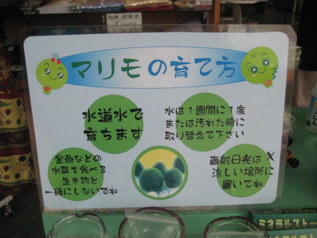 f:id:simba07ljx:20200808073839j:plain