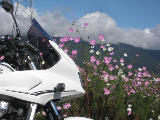 f:id:simba07ljx:20201011192253j:plain f:id:simba07ljx:20201011192253j:plain