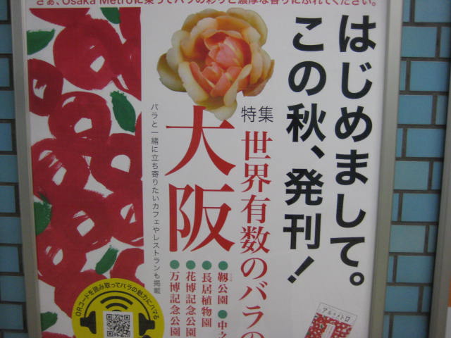 f:id:simba07ljx:20201024180013j:plain
