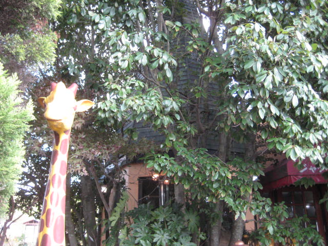 f:id:simba07ljx:20201102193311j:plain