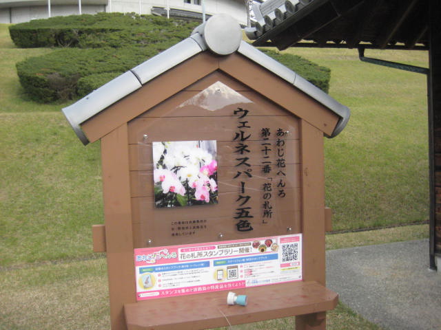 f:id:simba07ljx:20201129191445j:plain