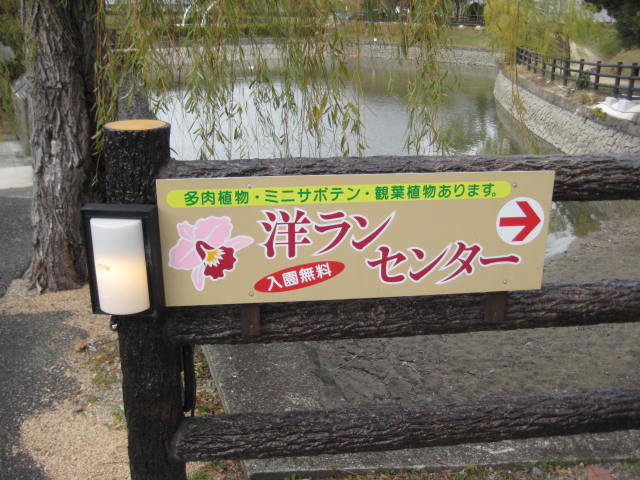 f:id:simba07ljx:20201129191613j:plain