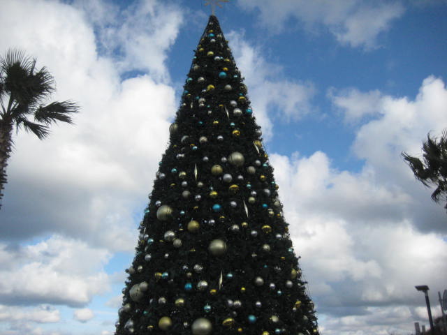 f:id:simba07ljx:20201224201152j:plain