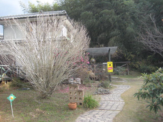 f:id:simba07ljx:20201227160154j:plain