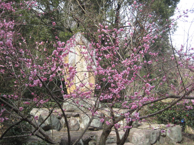 f:id:simba07ljx:20210214190459j:plain