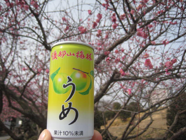 f:id:simba07ljx:20210214191210j:plain