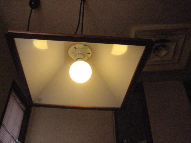 f:id:simba07ljx:20210228195341j:plain