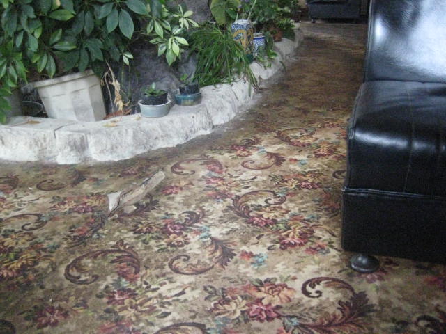 f:id:simba07ljx:20210315193423j:plain