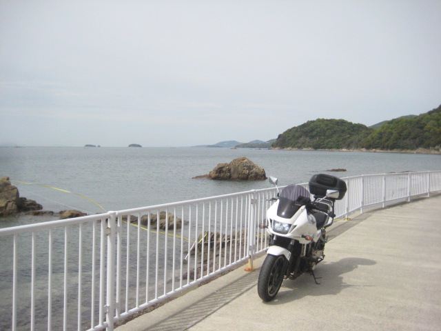 f:id:simba07ljx:20210425204411j:plain