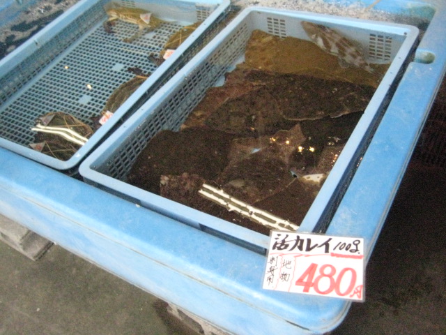 f:id:simba07ljx:20210425205301j:plain