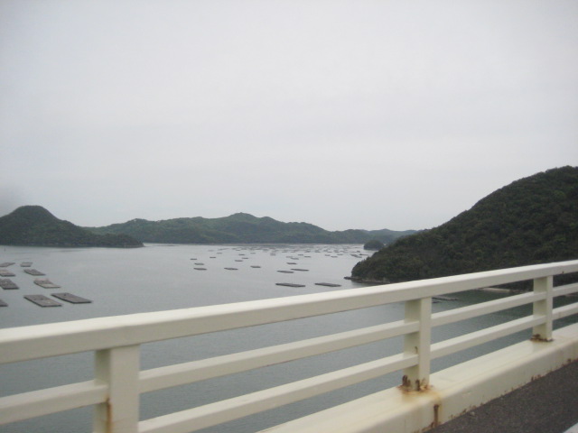 f:id:simba07ljx:20210425205848j:plain