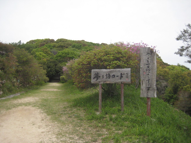 f:id:simba07ljx:20210425210636j:plain