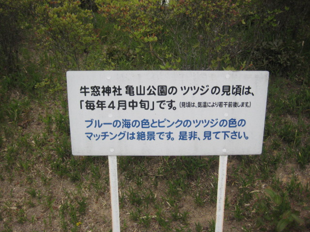 f:id:simba07ljx:20210425211102j:plain