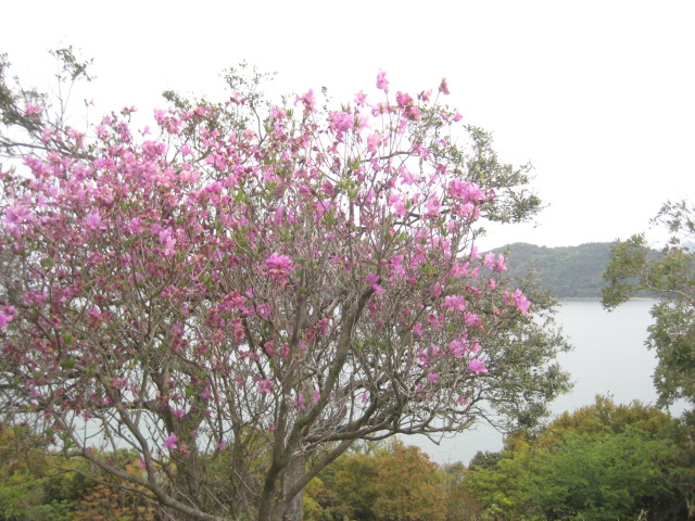 f:id:simba07ljx:20210425211303j:plain