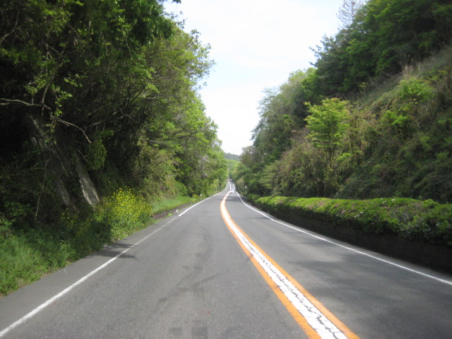 f:id:simba07ljx:20210425212126j:plain