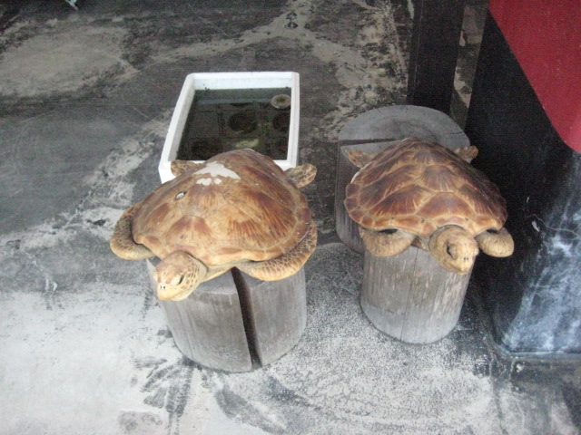 f:id:simba07ljx:20210518200526j:plain