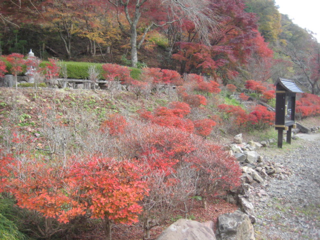 丹波篠山 もみじ三山 大国寺 文保寺 高蔵寺で紅葉三昧 バイクで遠足しませんか