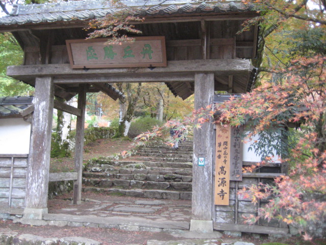 f:id:simba07ljx:20211207205133j:plain