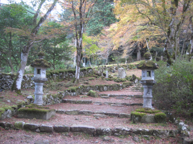 f:id:simba07ljx:20211207205241j:plain