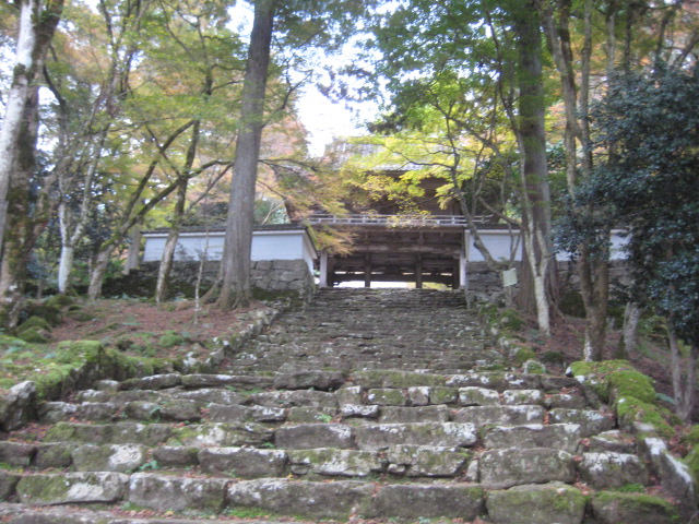 f:id:simba07ljx:20211207205311j:plain