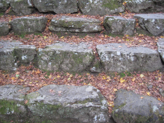 f:id:simba07ljx:20211207205425j:plain