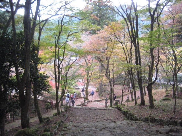 f:id:simba07ljx:20211207205503j:plain