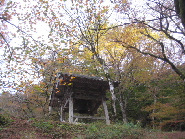 f:id:simba07ljx:20211207205552j:plain