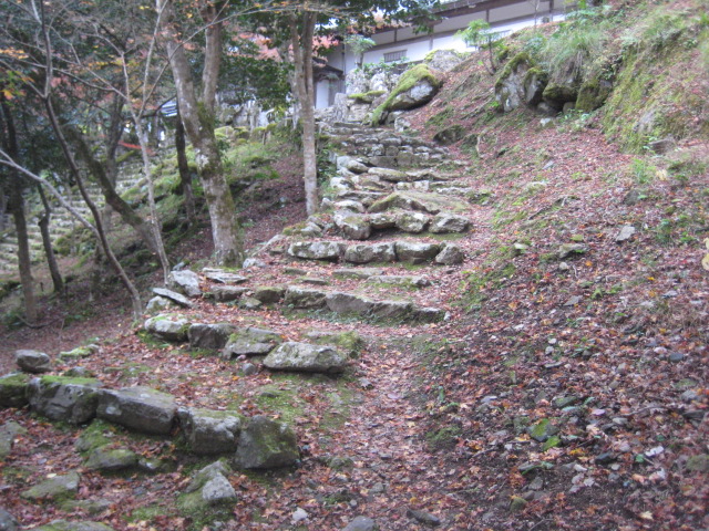 f:id:simba07ljx:20211207205638j:plain