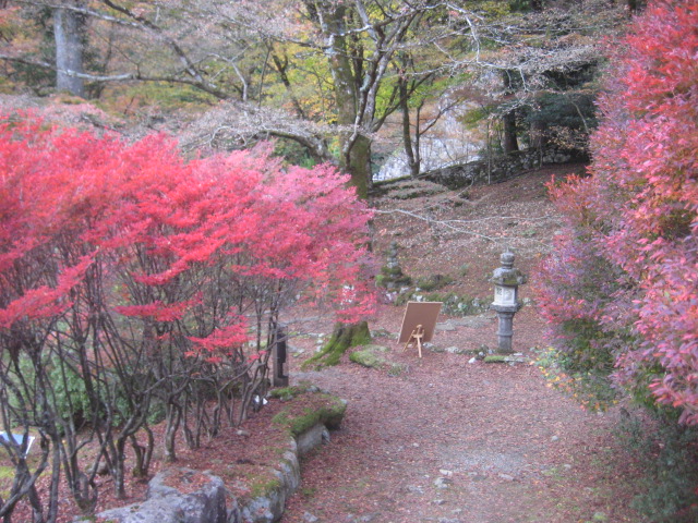 f:id:simba07ljx:20211207205658j:plain