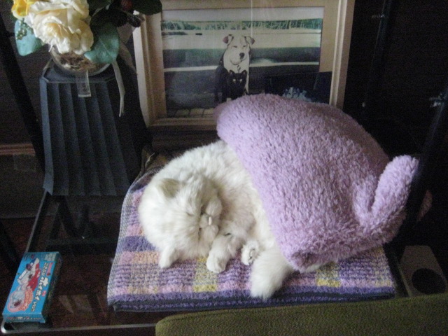 f:id:simba07ljx:20220405192641j:plain