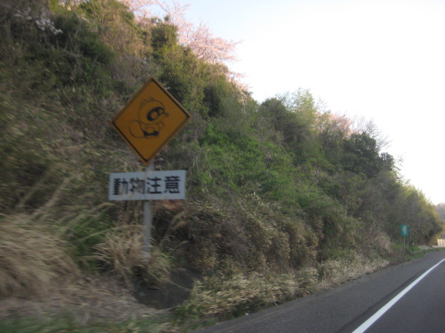 f:id:simba07ljx:20220410214954j:plain