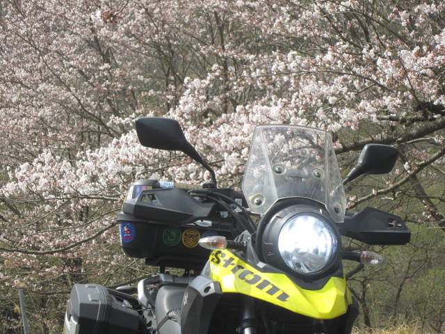 横須賀 ジャパン 日本 鷲 鷹 大きいサイズ バイク ツーリング 青 BIRD 本日のバイク女子↓ メーカー⭐️#Kawasaki 車種🏍#Ninja400 ご