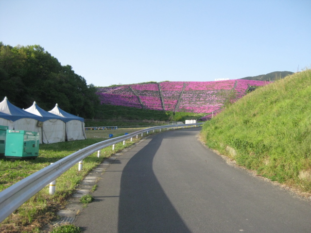 芝桜 関西名所3か所巡り その2 しあわせの森公園 奈良県 葛城市