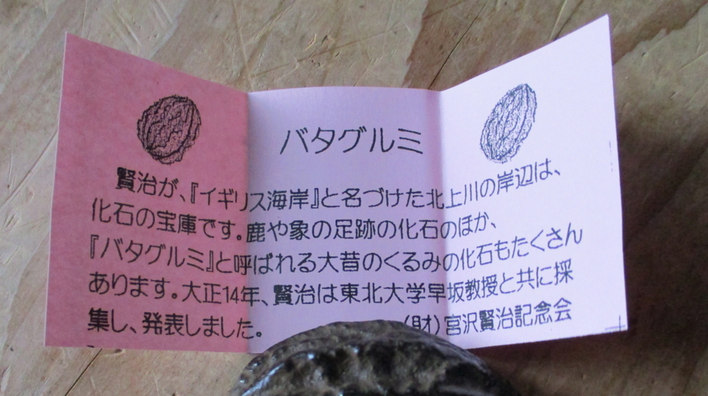 宮沢賢治記念館にて - 紙魚子の小部屋 パート2 plus はてな版